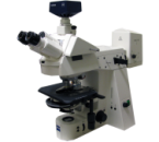 正立螢光顯微鏡