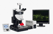 螢光共振能量轉移顯微系統-Leica M205FA
