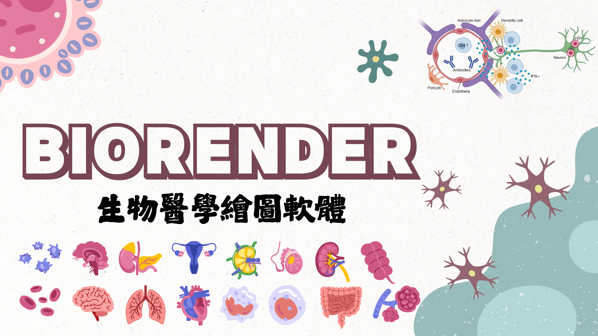 BIORENDER